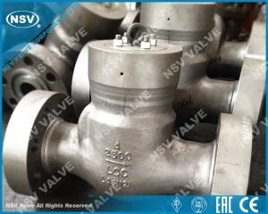 पीएसबी चेक वाल्व