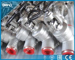 डब्ल्यूबी जाली गेट वाल्व